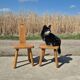 Set 2 - Dutch MCM fireside chair oak 1960s - brutalist plant stool