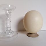 Ostrich egg