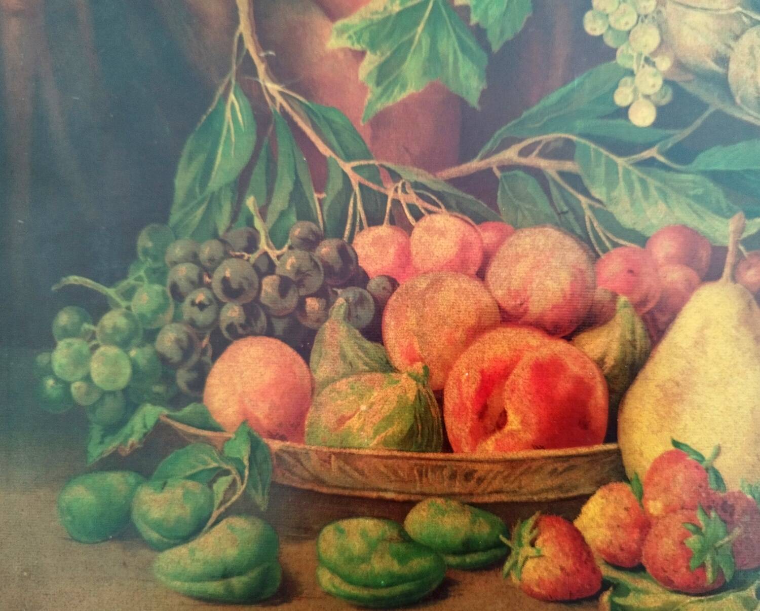 Chromolithograph Still Life Fruits Signed G. Falchetti