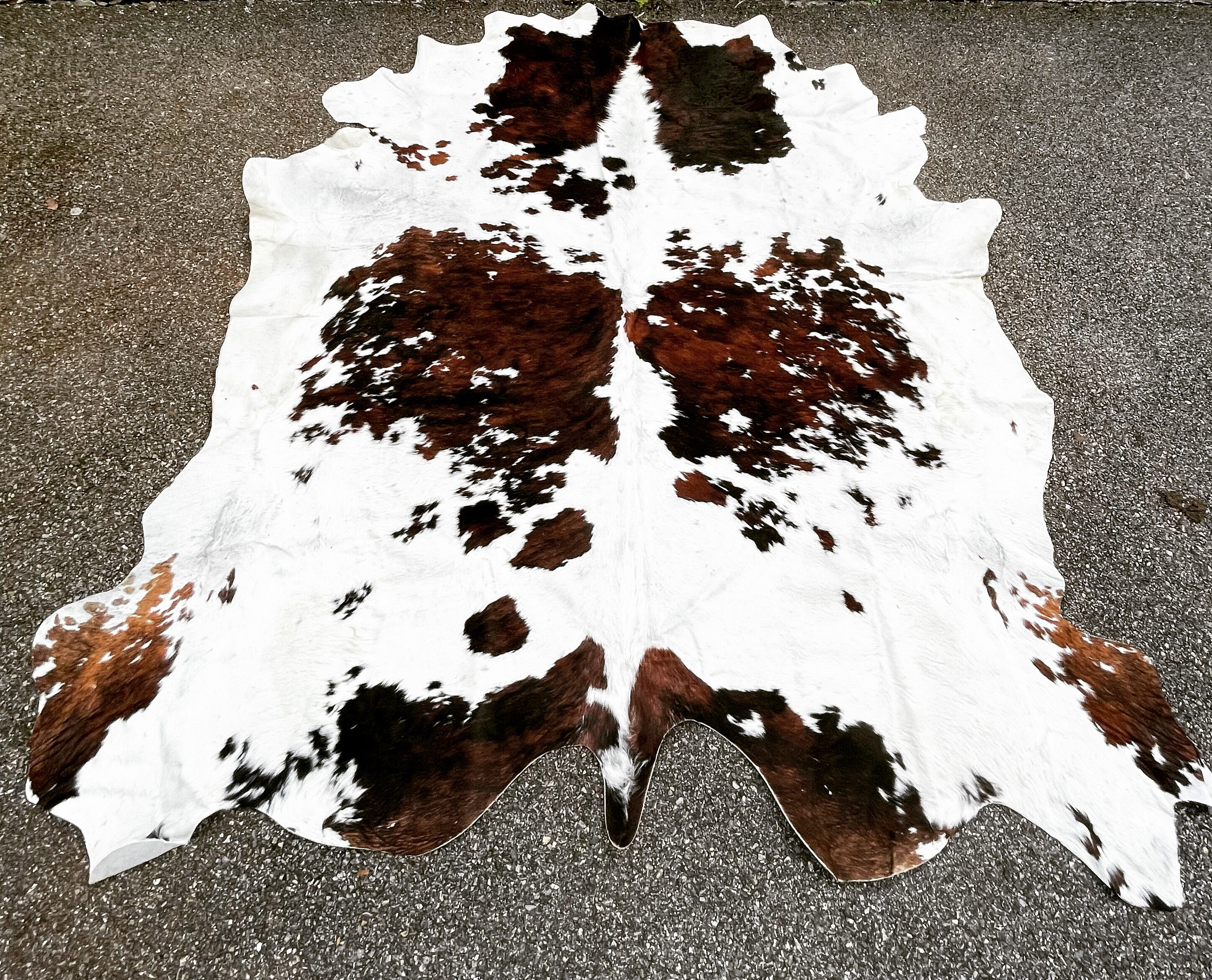 Cow skin