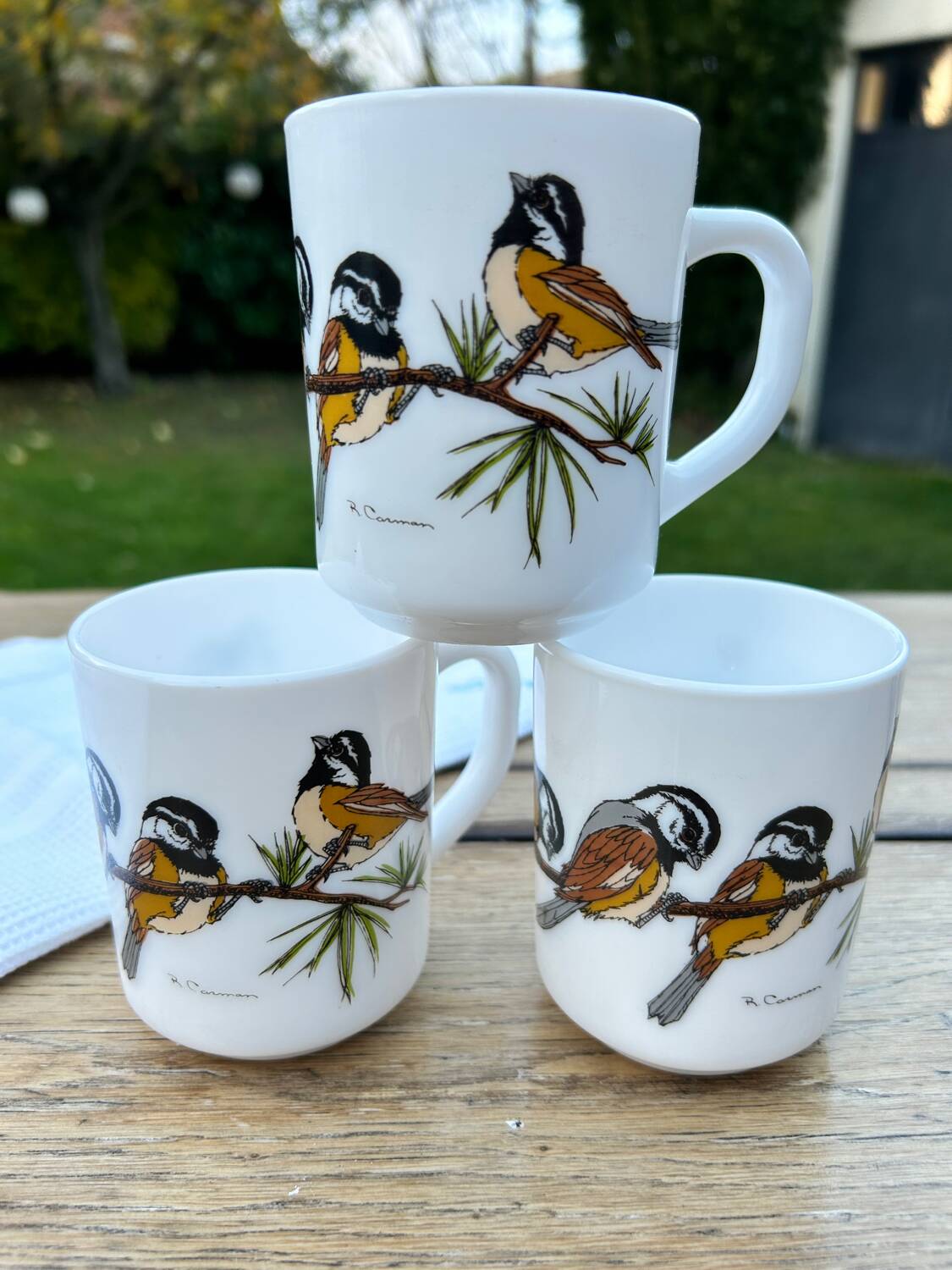 Tasse à Café Avec Oiseaux - France