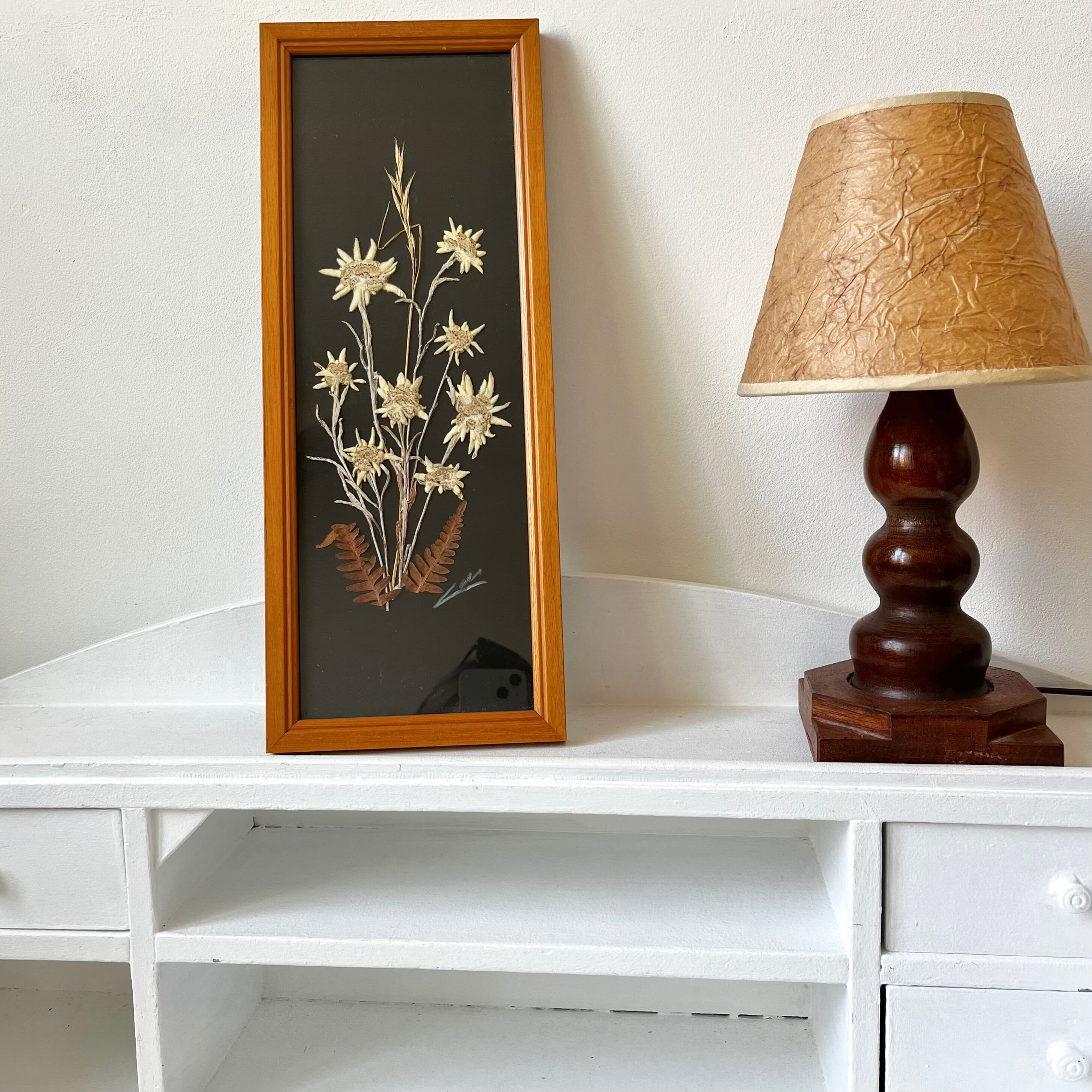 Vintage mountain edelweiss flower herbarium frame