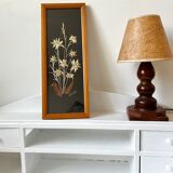 Vintage mountain edelweiss flower herbarium frame