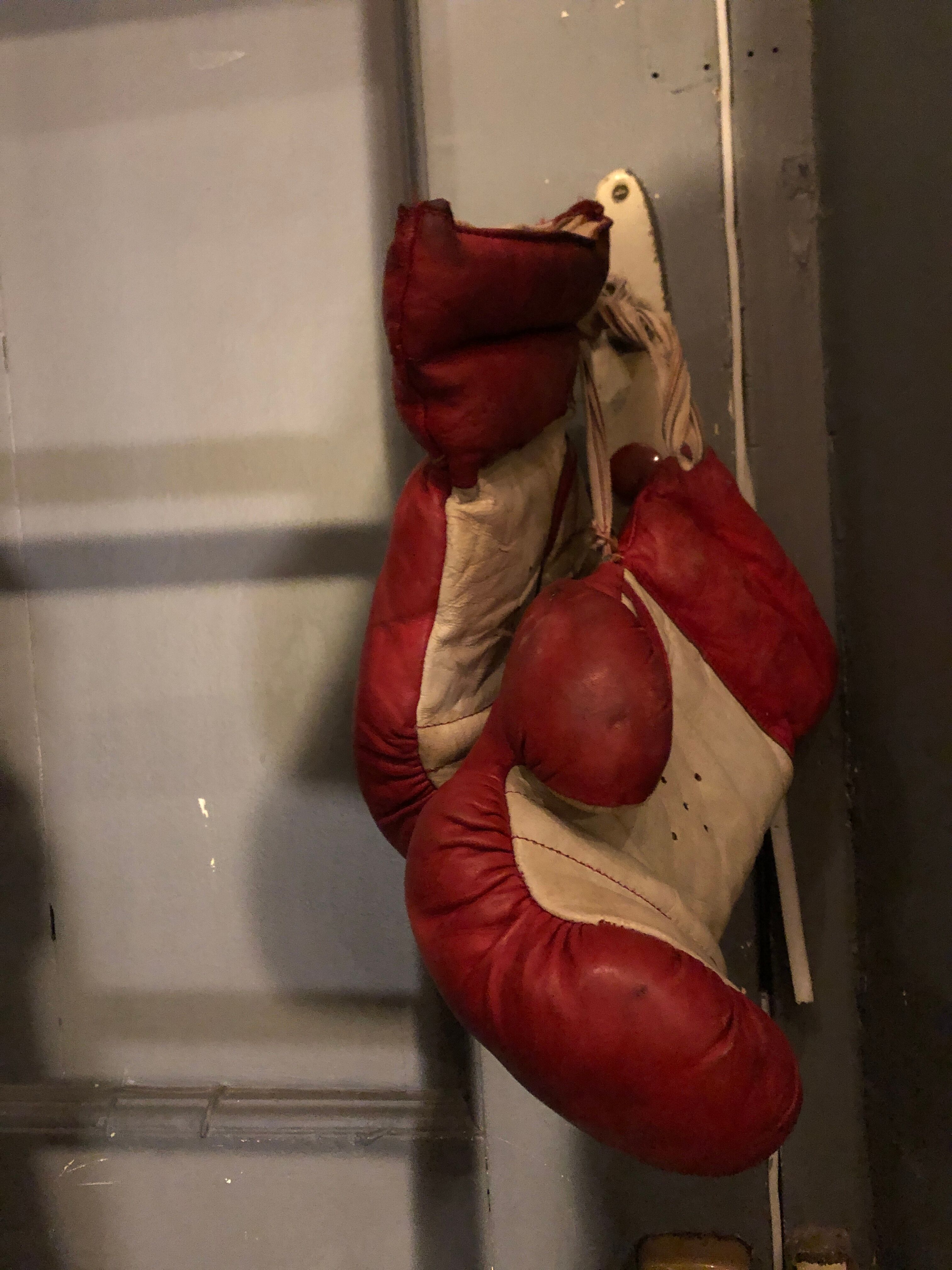 Boxing gloves