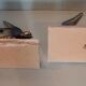 Pair of art deco swallows bookends