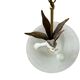 Glass and gold metal pendant light