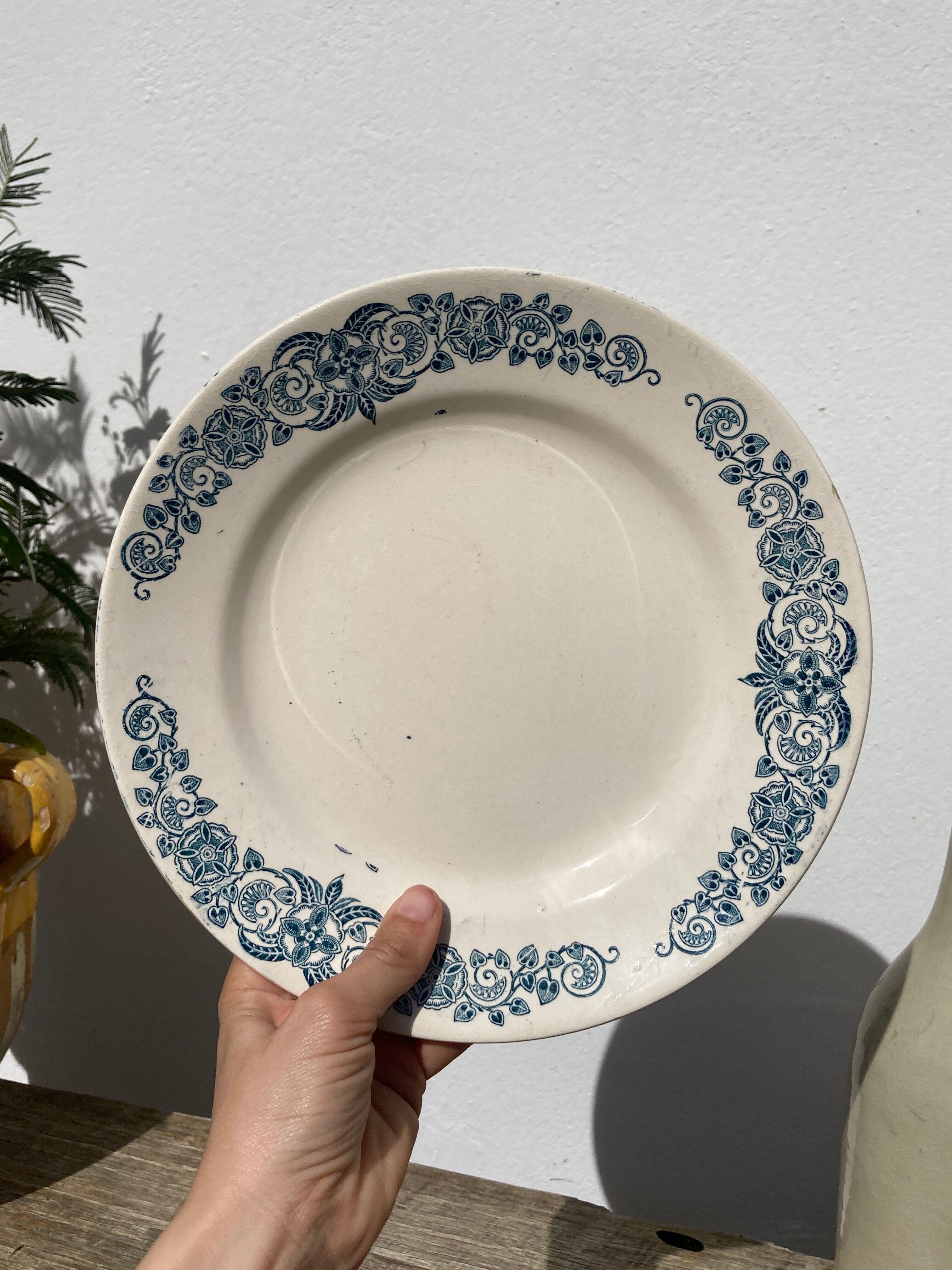 Set of 8 flat plates iron earth model Longchamp Alésia