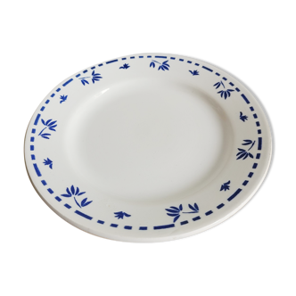 Small opaque porcelain dessert plate