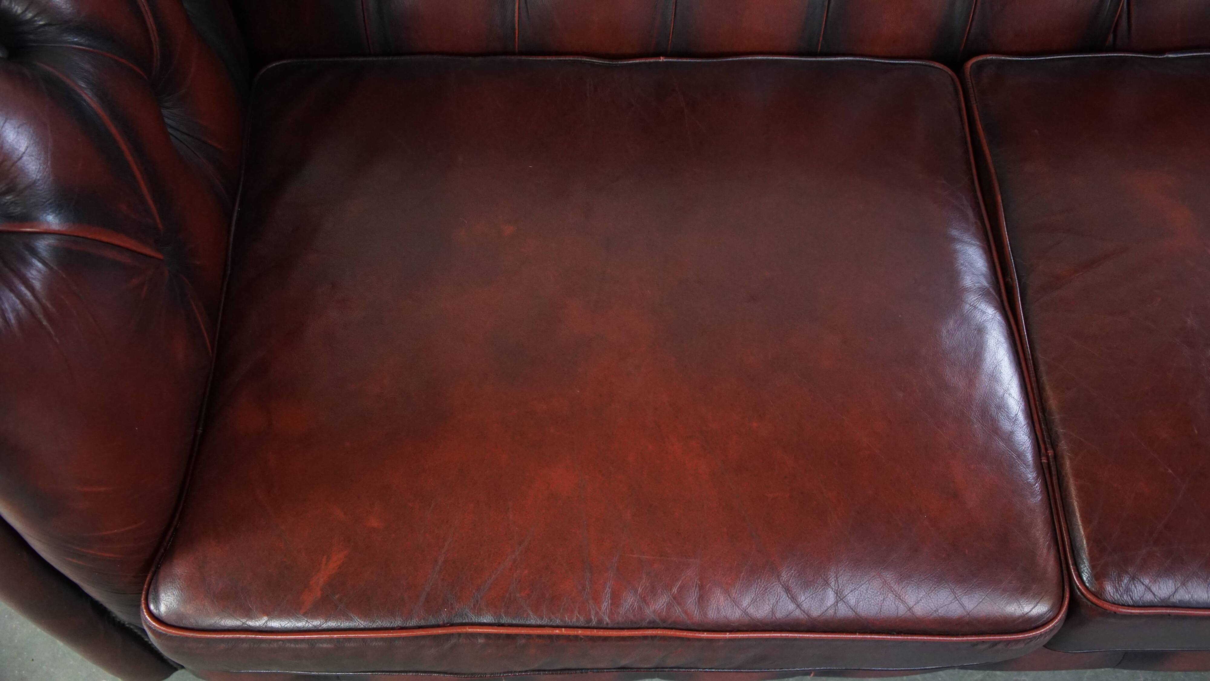 2.5-seater Chesterfield sofa in dark red flamed cowhide leather