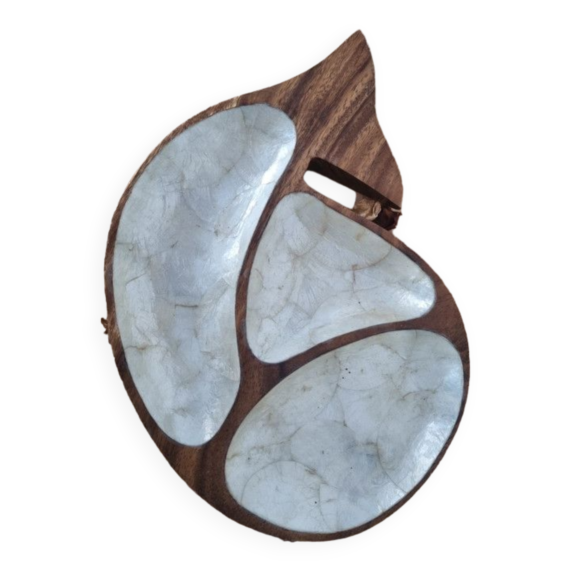 Empty wooden and mother-of-pearl whale pocket display