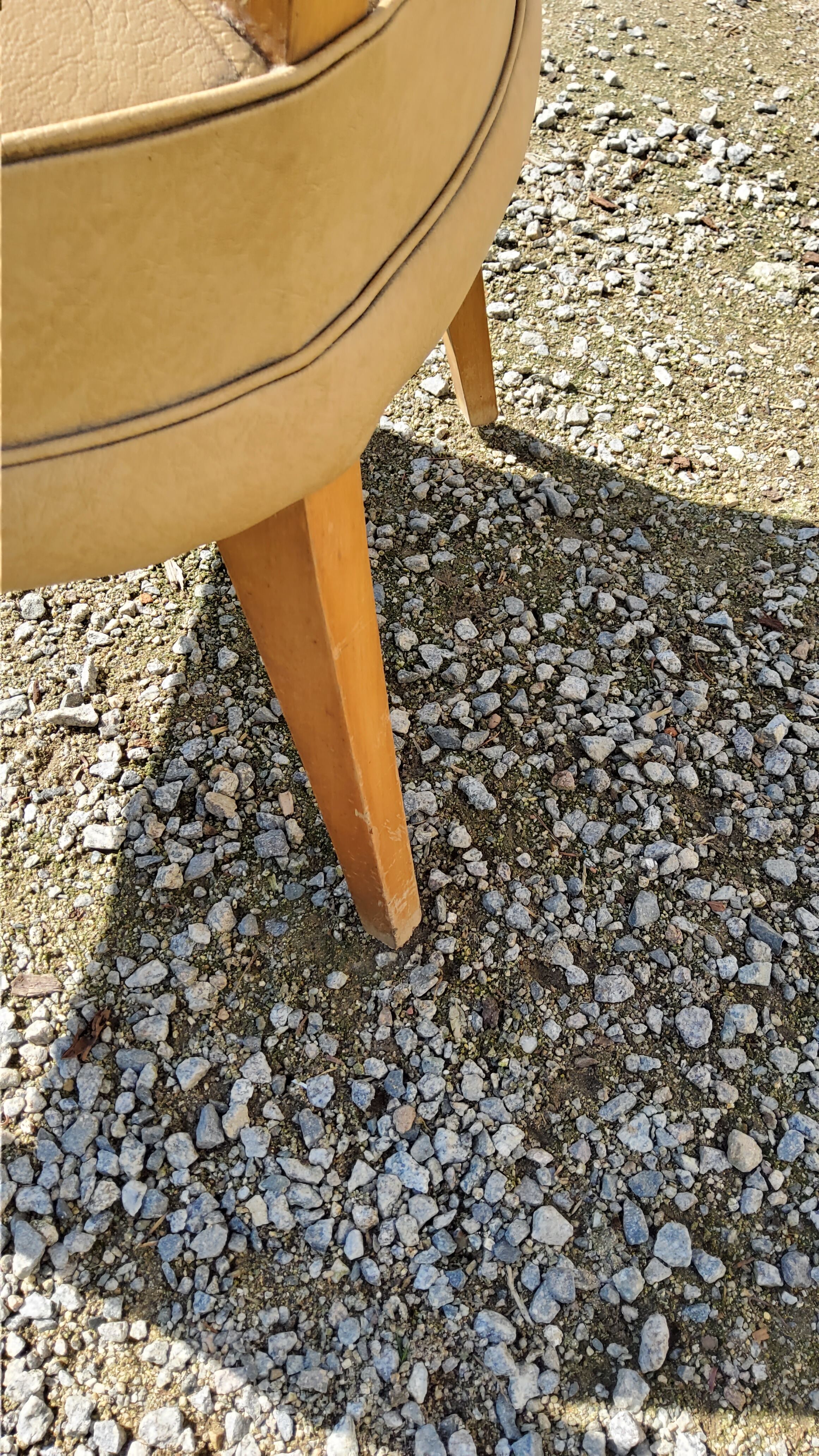 Office armchair from the 50s in beech tinted sycamore and moleskine