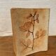 Ceramic Vase Vallauris Raymonde Leduc Herbarium Vintage