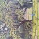 J.Ryck oil painting on cardboard