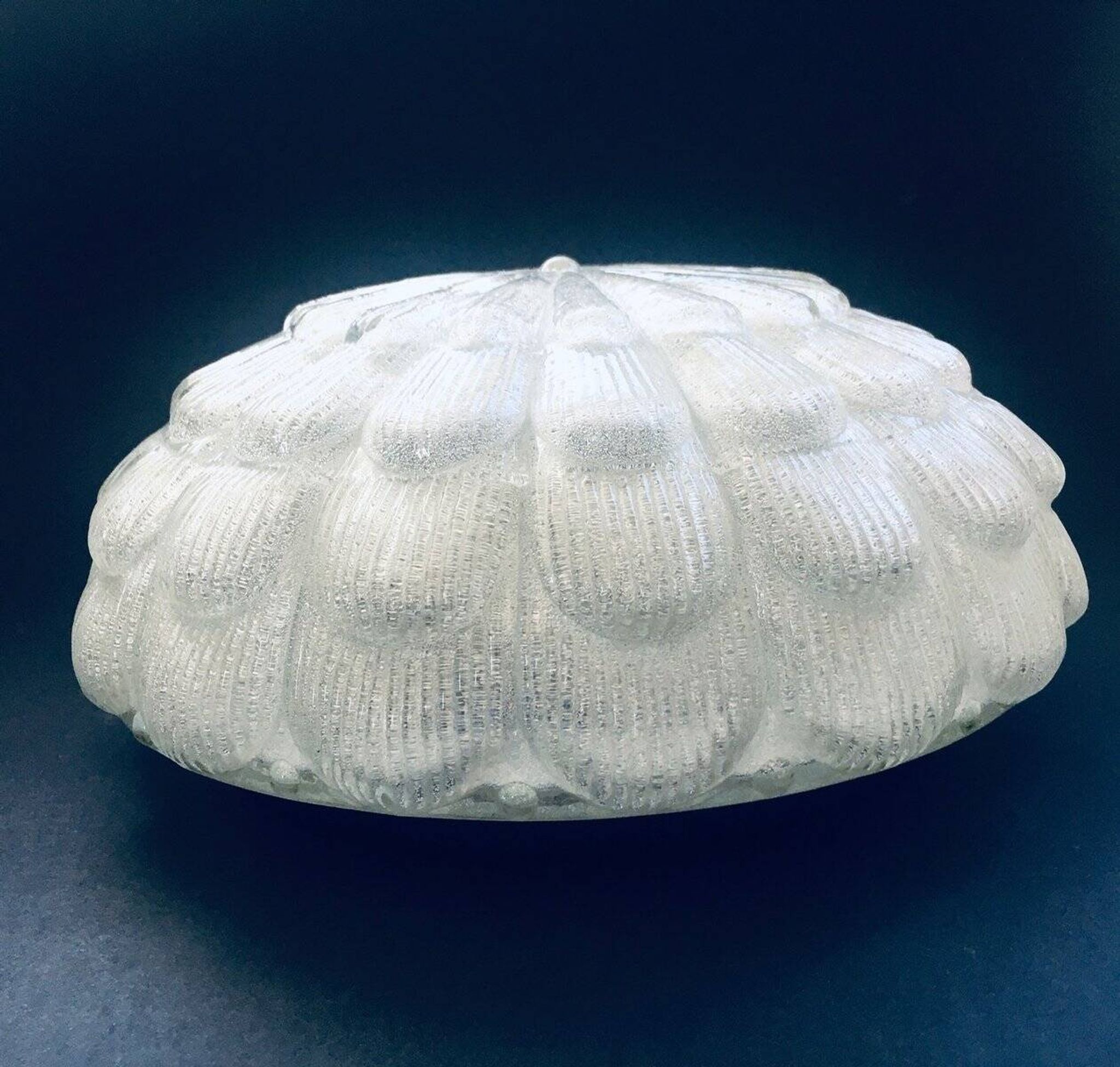 Large Frosted Flower Glass Sconce Wall Lamp from MCM, 1960s