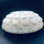 Large Frosted Flower Glass Sconce Wall Lamp from MCM, 1960s
