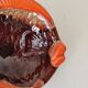 Vide poche poissons Vallauris
