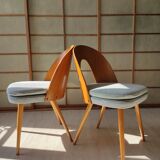Series of 2 chairs Antonin Suman 60s