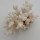 Old white natural coral - 1970s