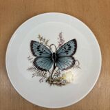 Hasler butterfly wall plate