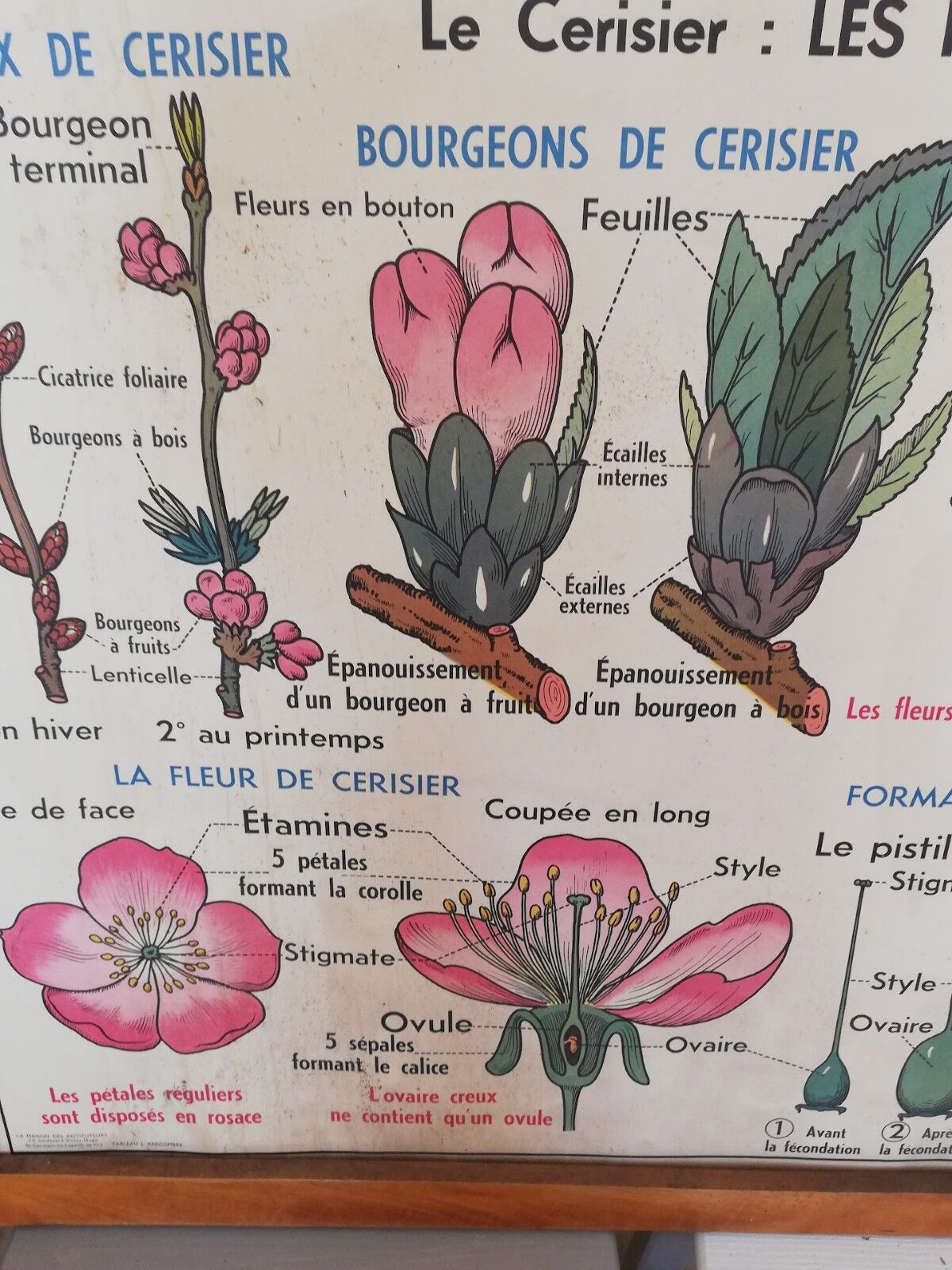 Old MDI school poster