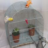 Former birdcage