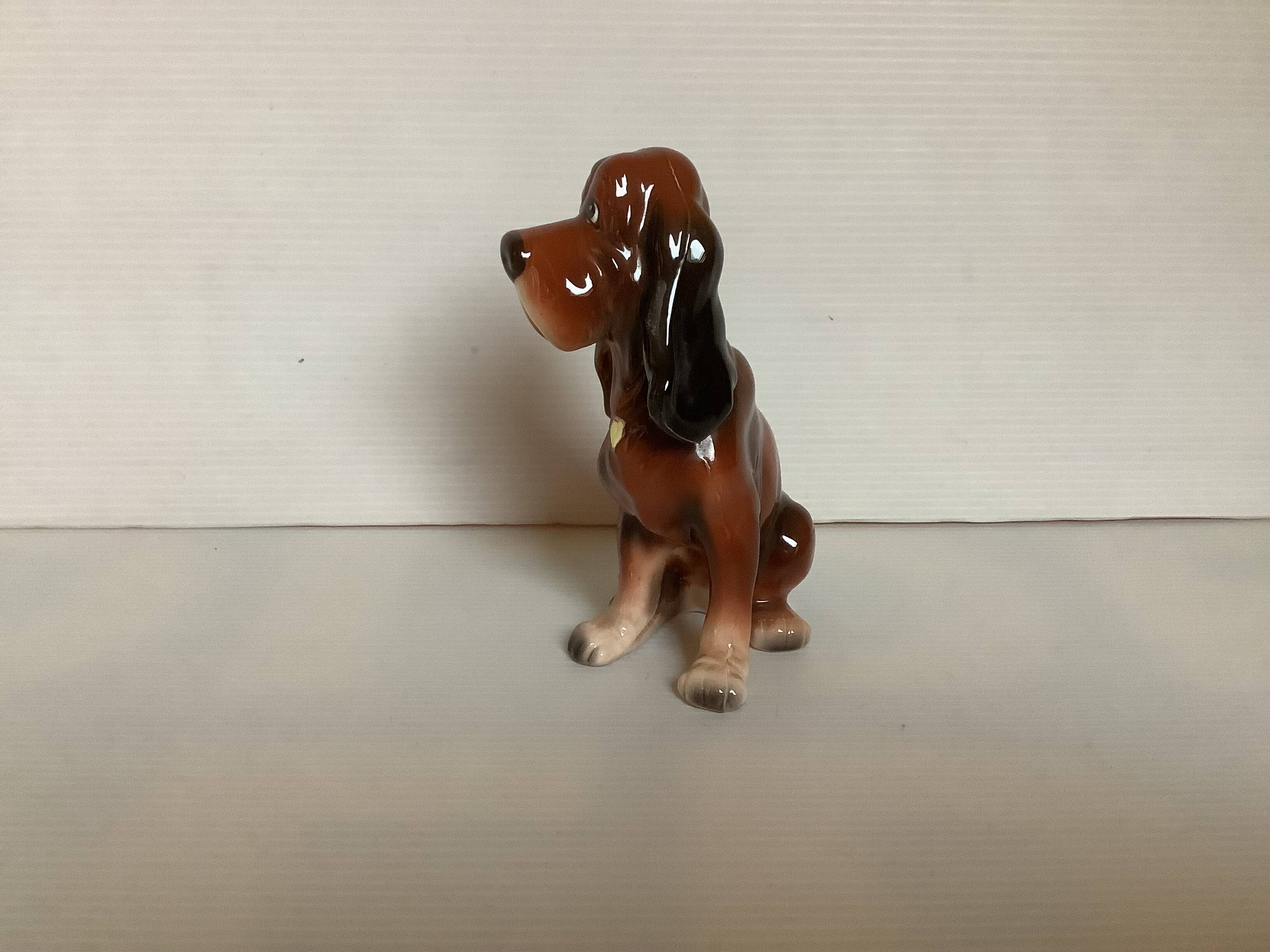 Saint Hubert hunting dog