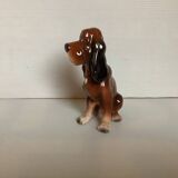 Chien de chasse Saint Hubert