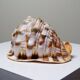 Large vintage shell cabinet of curiosities Cypraecassis rufa 15cm