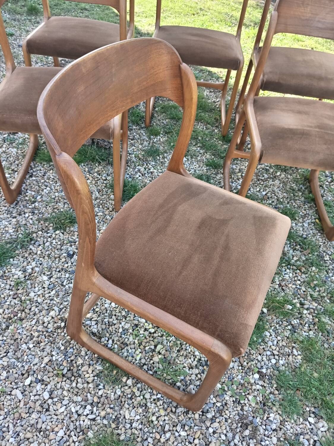 Baumann sled chairs