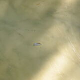 Meal table, oval, marble, 70