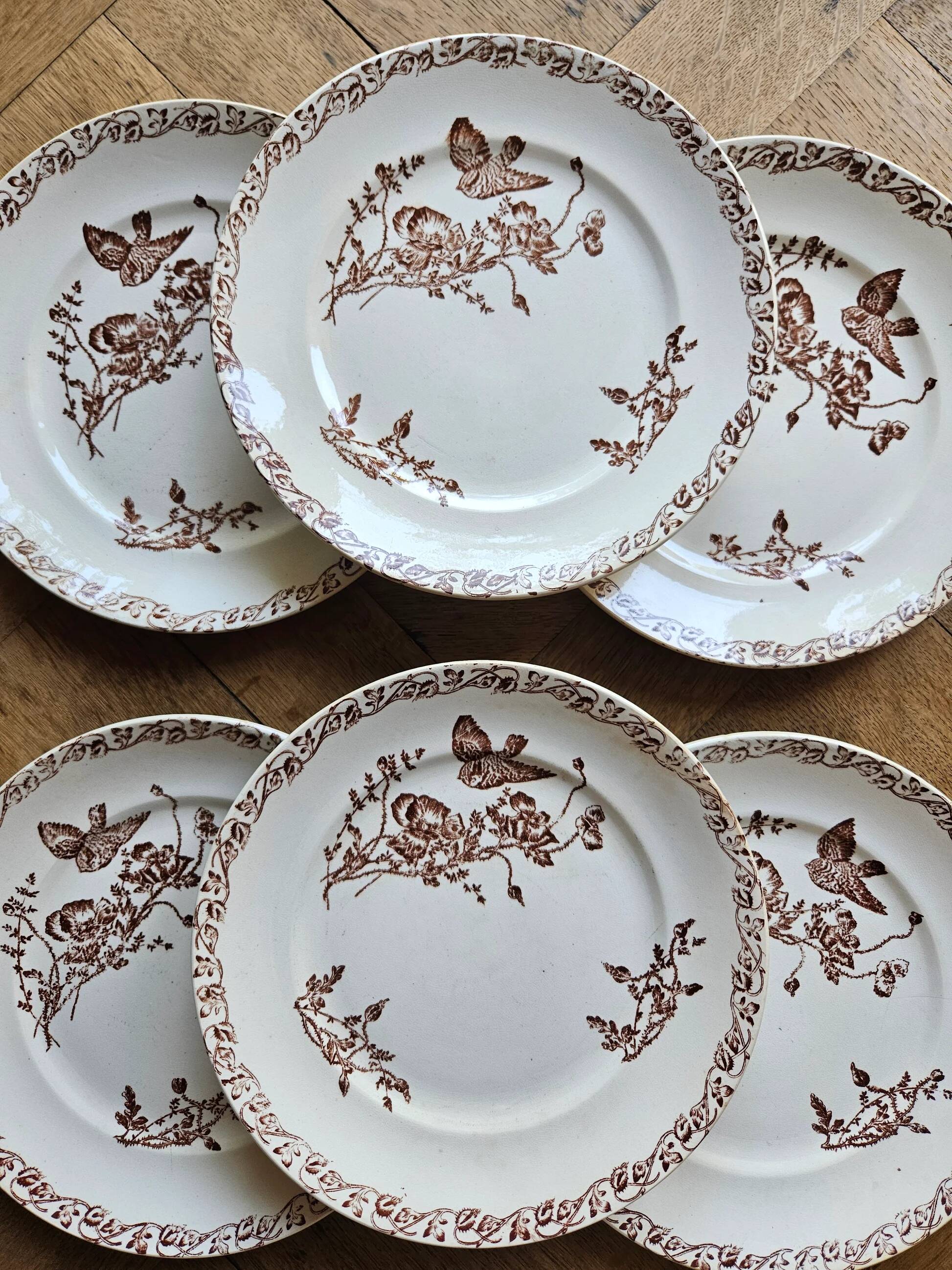 Ironstone dessert plates, poppies