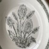 Set of 6 soup plates with thistles