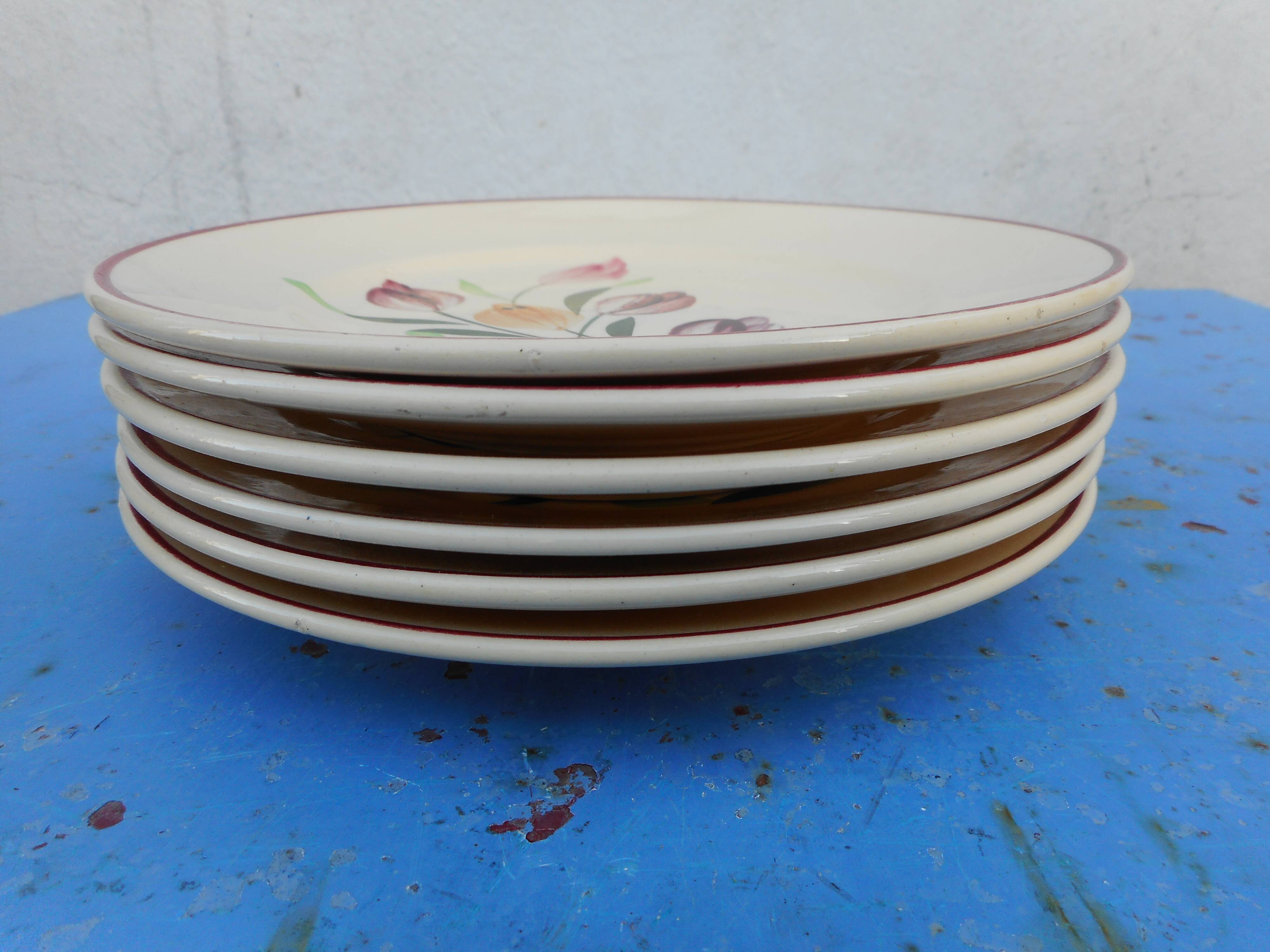 Lot of six plates decorated Tulips "Longchamp"