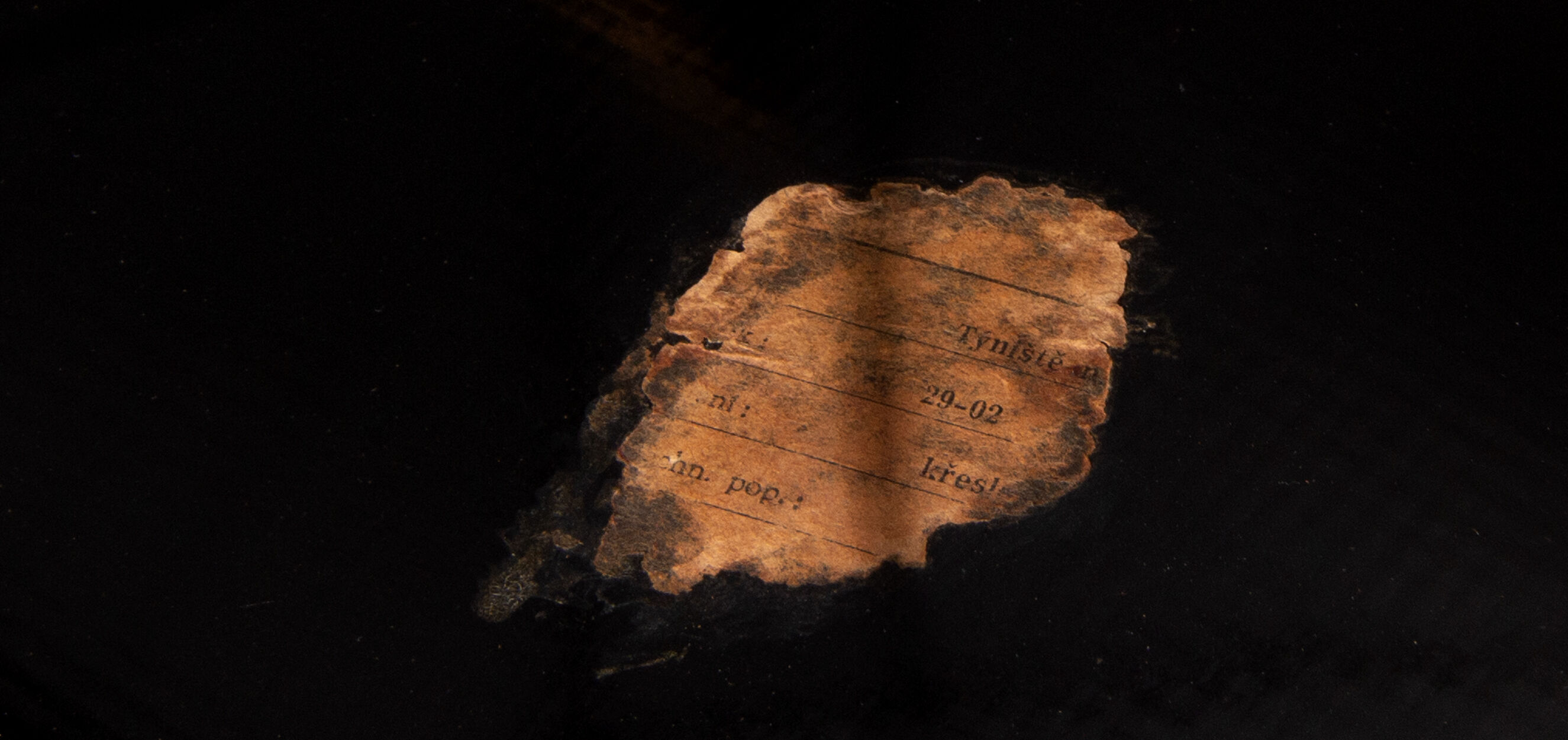 Miroslav Navratil armchair by Cesky Nabytek, fifties