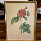 Set of decorative frames