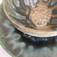 Denbac 4 cups 1920