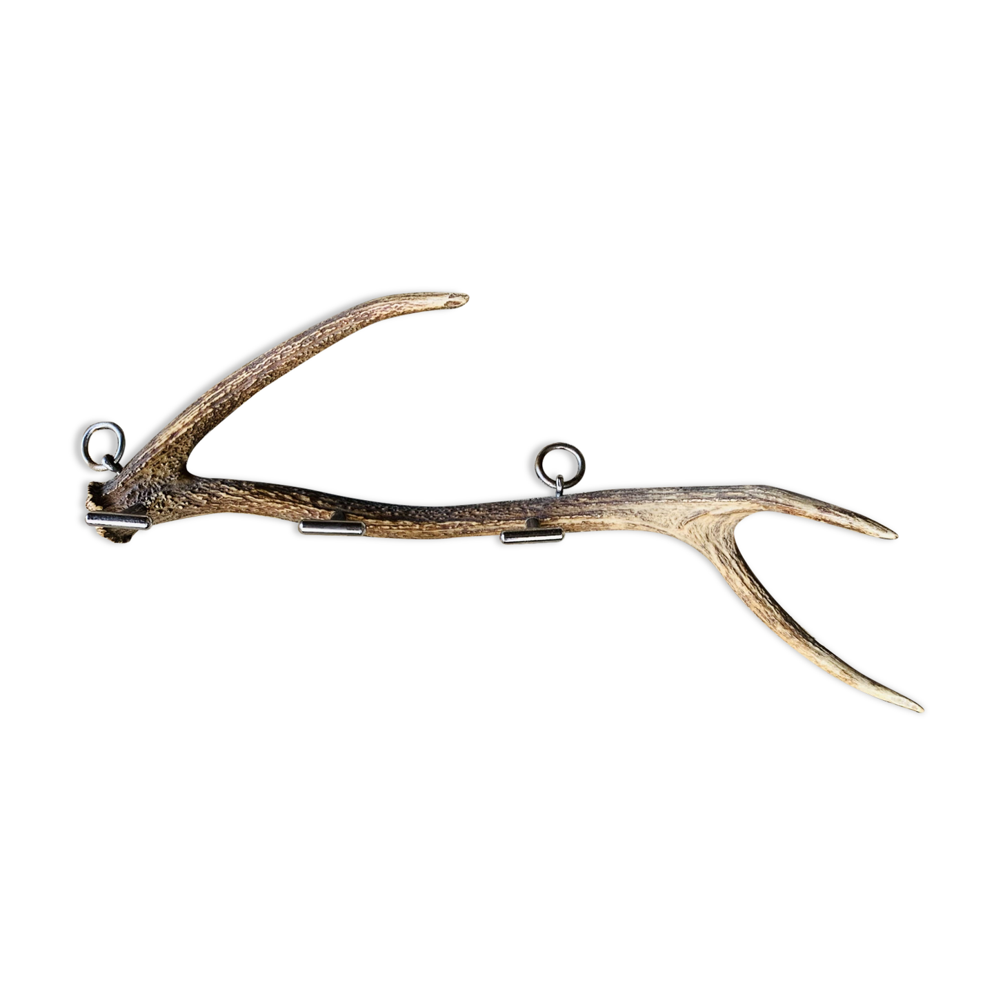 Deer antler coat rack 3 hooks