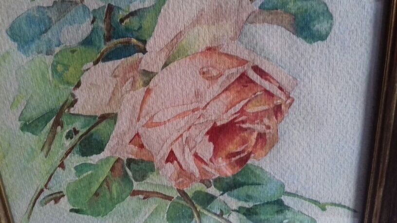 Ancient watercolor with rose