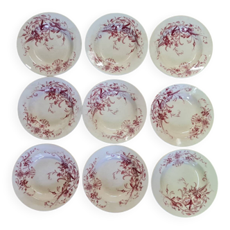 Samaritaine deep plate service EC