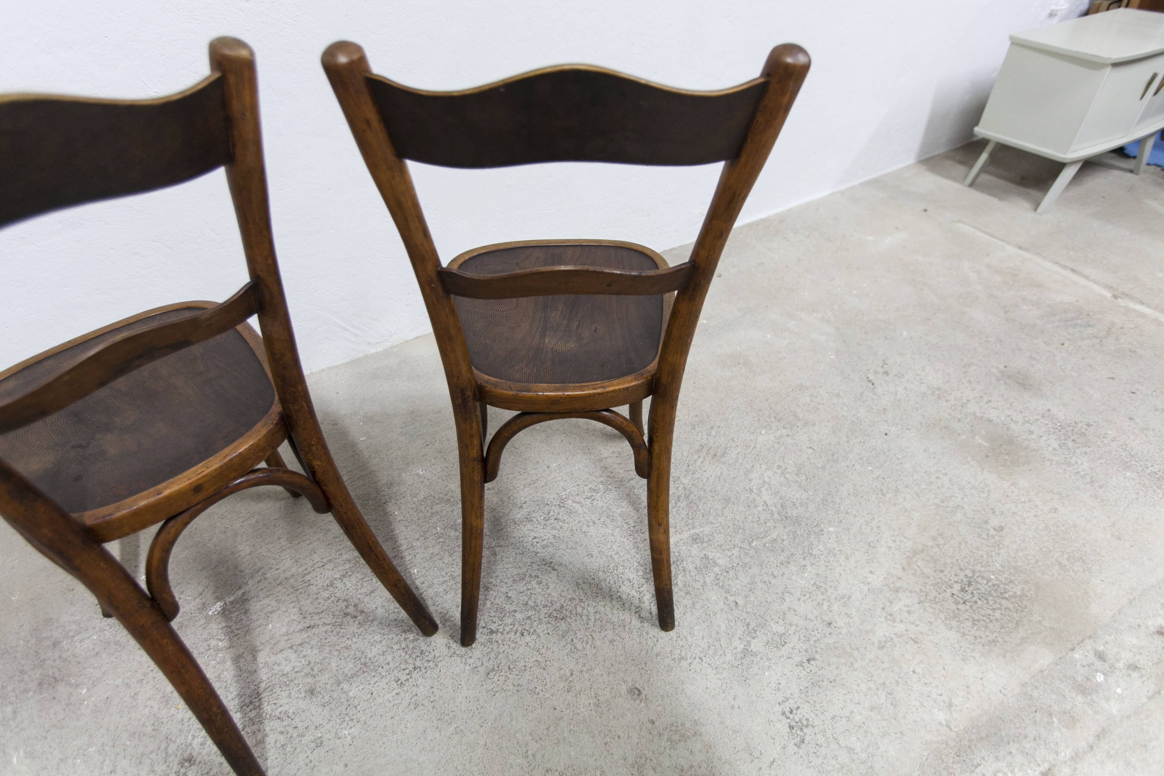 Pair of Baumann Bistrot chairs from the 1920s with pyrography seat