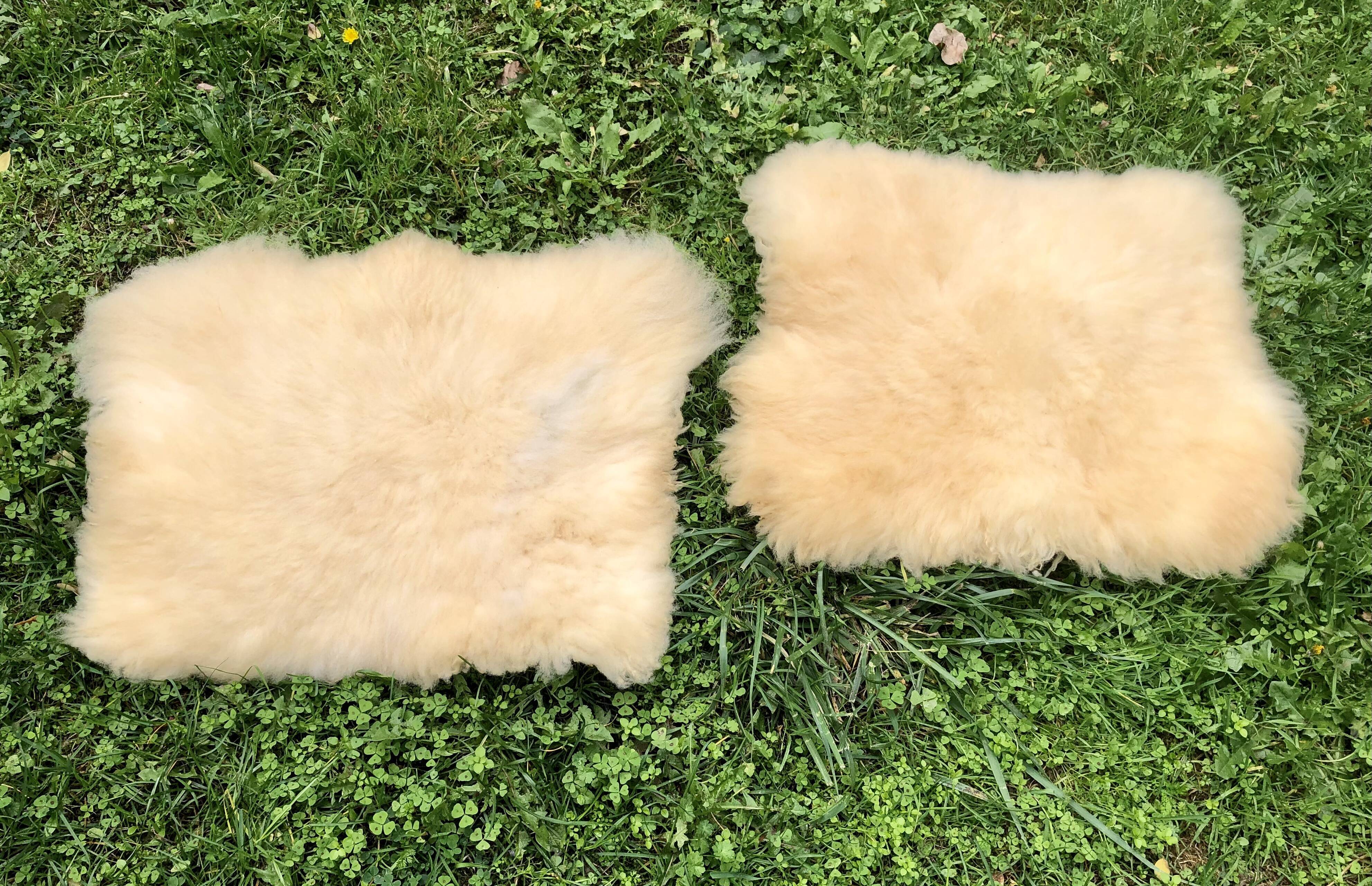 Sheepskins
