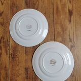 Mismatched vintage dinner plates "Spring"