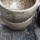 Set of 5 bowls