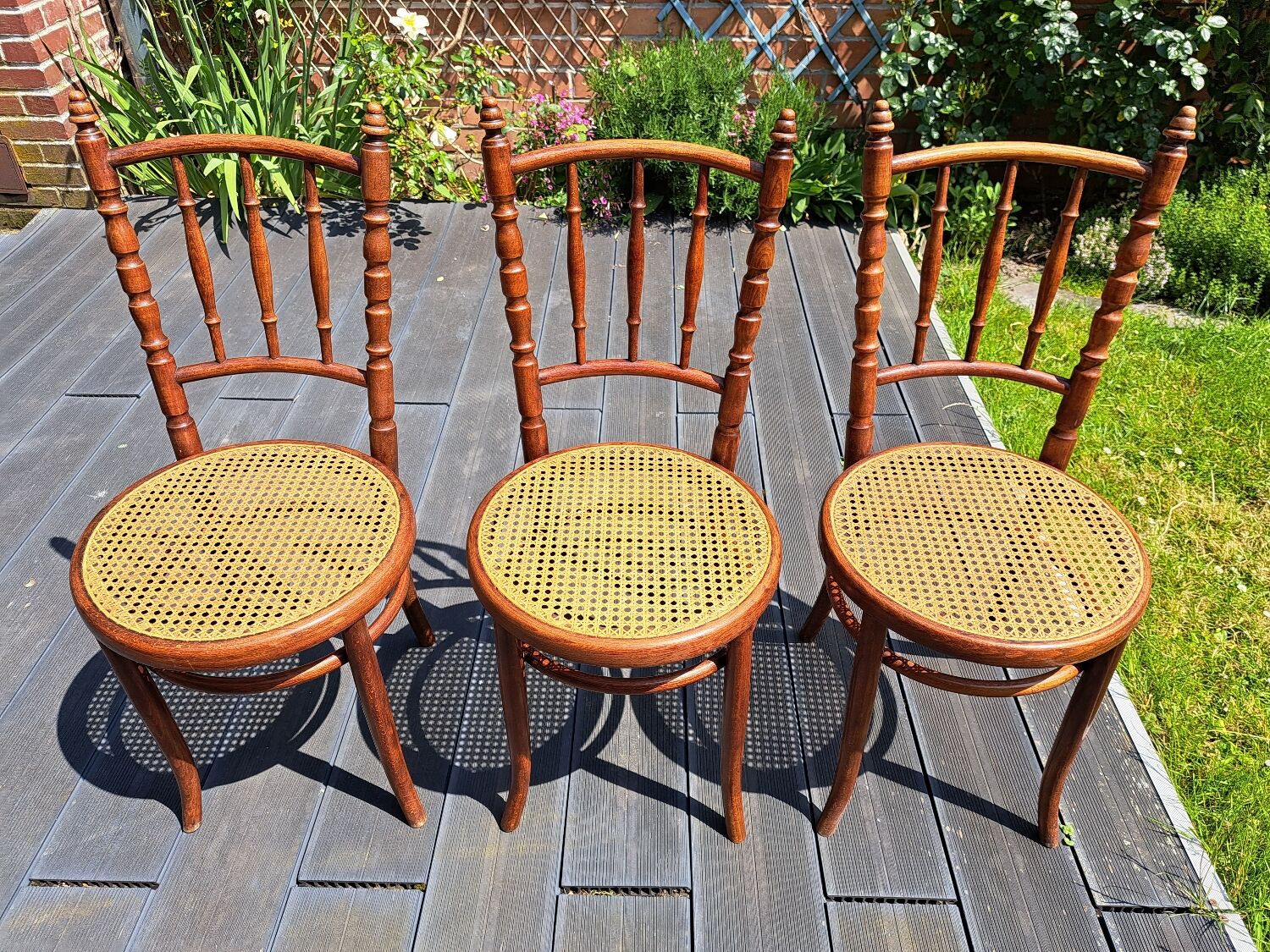 Set of 6 Fischel chairs in cane wood