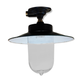 Cast iron ceiling light with glass globe