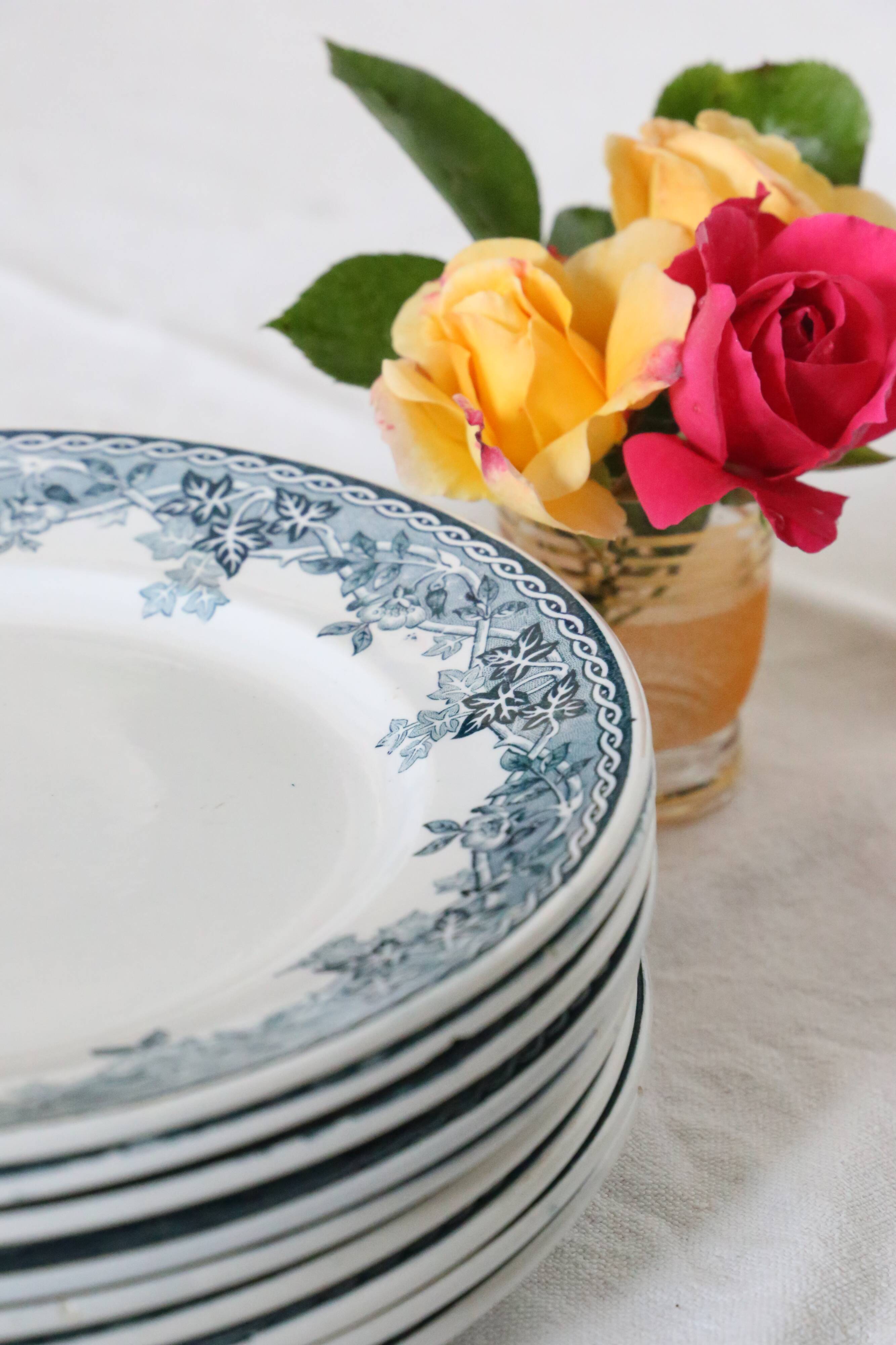 Dessert plates x9, iron earth, Estival model by Saint Amand