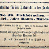 Poster "squirrel" by C. C. Meinhold & Söhne Dresden in 1891
