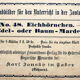 Poster "squirrel" by C. C. Meinhold & Söhne Dresden in 1891