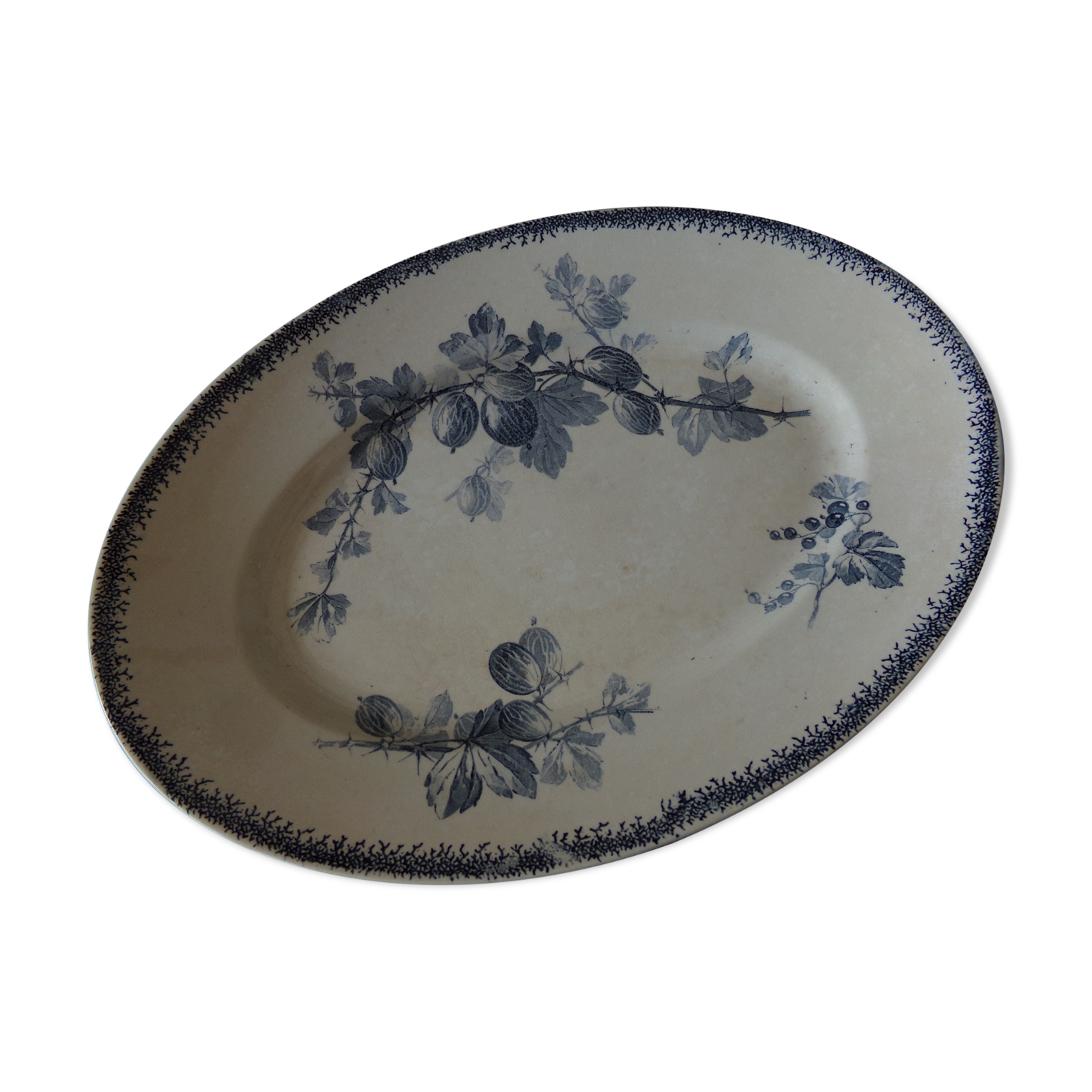 Oval dish U&Cie Sarreguemines model "currants"
