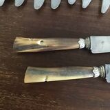 12 horned handle knives